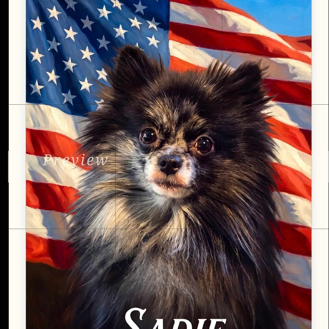 Sadie joined the competition — help win amazing prizes! dog, pet, american_flag, portrait, fluffy, cute, animal, fur, eyes, face, background, outdoor, canine, mammal, domestic_animal, flag, red, white, blue, patriotic