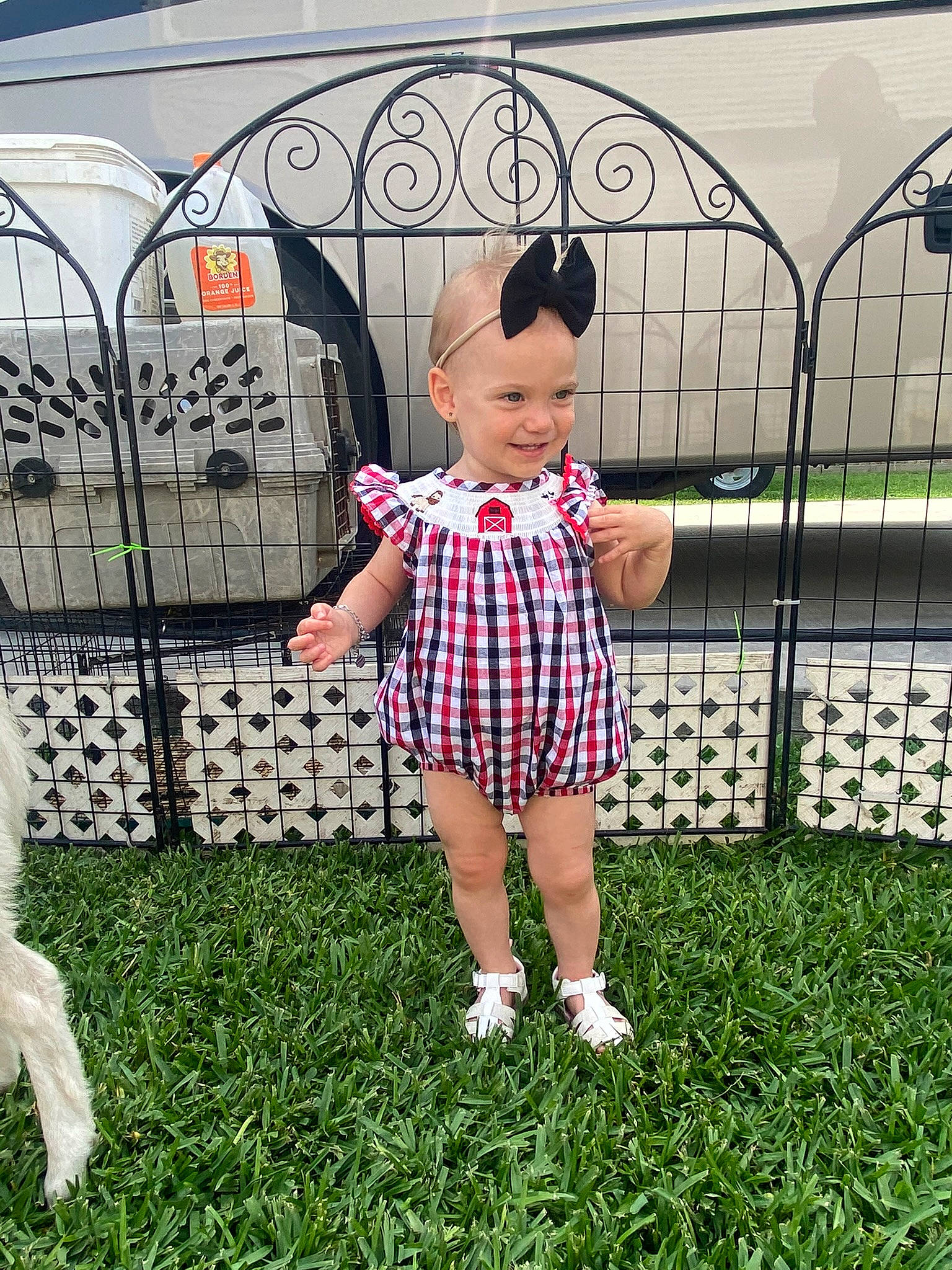 Kynslee is registered to the contest to win money with this photo: baby_toddler_clothing, child, dog, fence, fun, grass, happy, human_leg, joy, lawn, leisure, mammal, metal, pattern, people_in_nature, person, product, sleeve, street_fashion, toddler