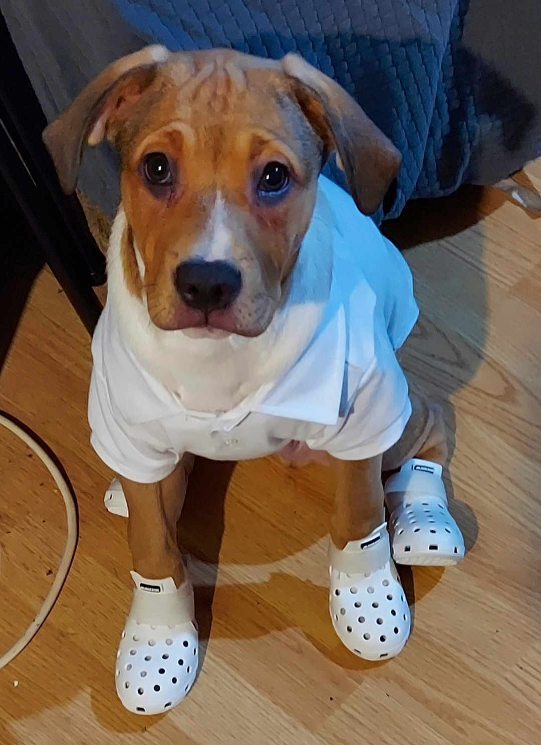 Milo