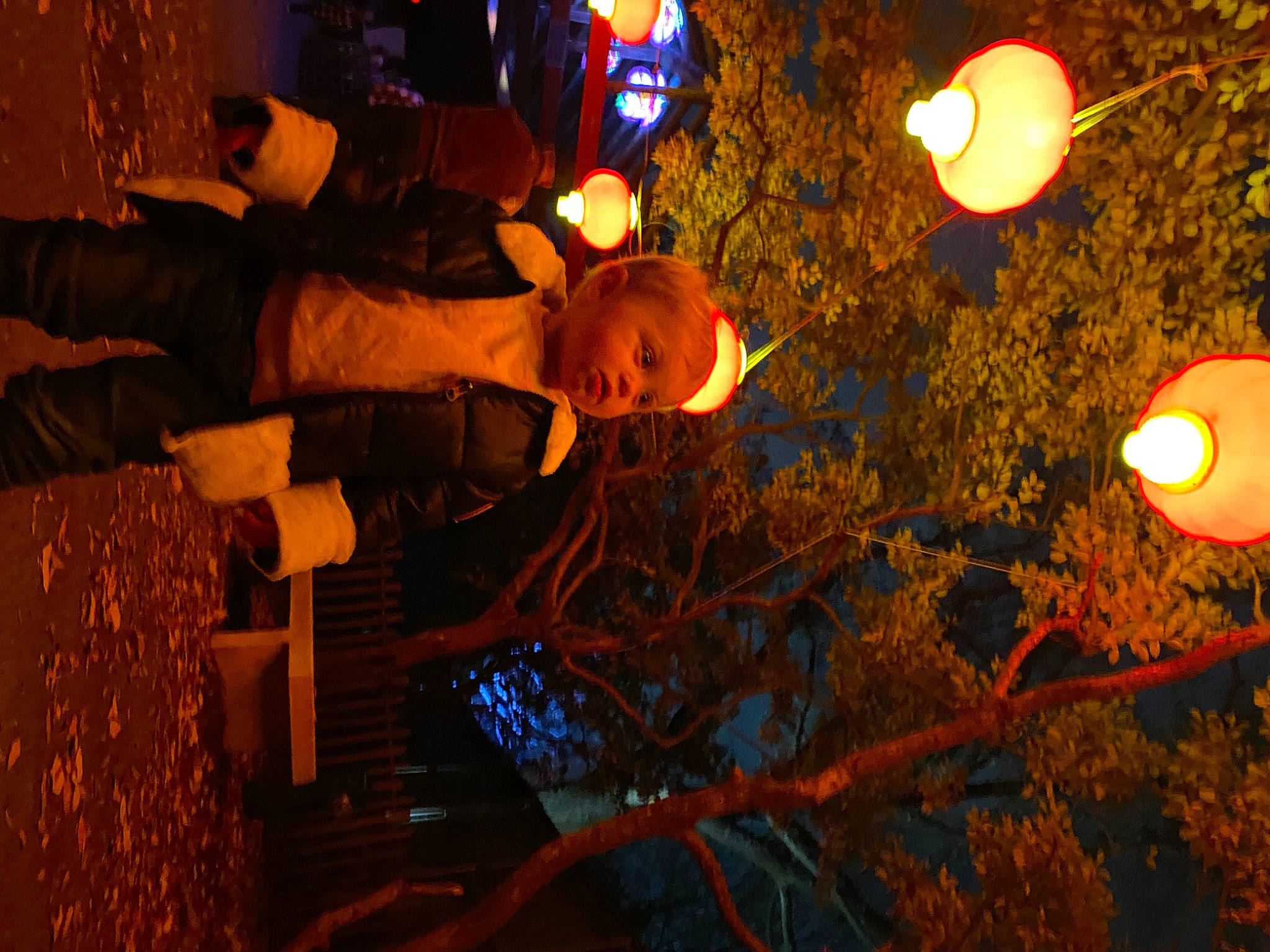 Jocelynn joined the competition — help win amazing prizes! amber, art, darkness, event, flash_photography, fun, heat, lantern, light, light_fixture, lighting, midnight, night, orange, person, plant, sky, street_light, tints_and_shades, tree