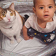 Nita is registered to the contest to win money with this photo: toddler, child, cat, inflatable_pool, indoor, curious, wide_eyes, pet, animal, baby, pajamas, patterned_clothing, floor, home, playtime, cute, companions, face, looking_up, expression