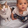 toddler, child, cat, inflatable_pool, indoor, curious, wide_eyes, pet, animal, baby, pajamas, patterned_clothing, floor, home, playtime, cute, companions, face, looking_up, expression