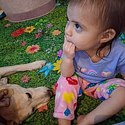 Nita is registered to the contest to win money with this photo: child, toddler, dog, pet, sitting, curious, play_mat, colorful, flowers, indoor, portrait, candid, brown_hair, purple_shirt, pink_pants, rainbow, animal, companion, floor, family