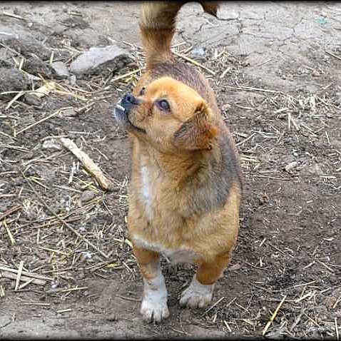 FINKA a rejoint le concours — aidez-le/la à gagner de superbes lots !