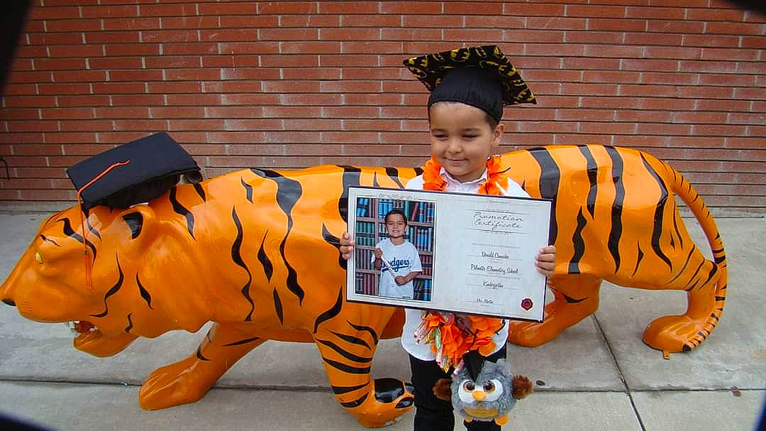 Donald joined the competition — help win amazing prizes! advertising, big_cats, child, costume, event, fun, fur, grass, headwear, joy, lawn_ornament, mascot, orange, person, public_event, tail, tiger, toddler, trick_or_treat, vacation