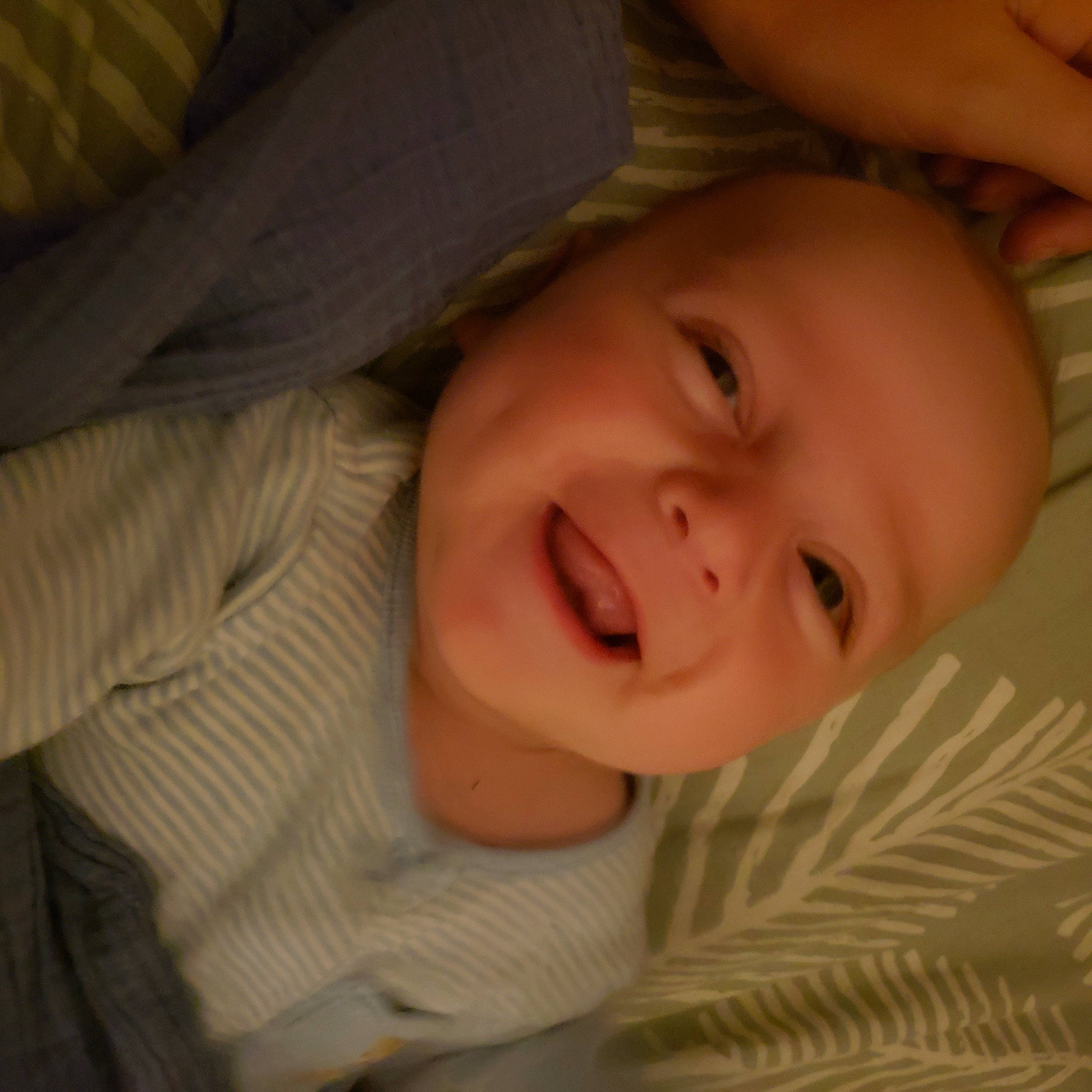 Jaxon is registered to the contest to win money with this photo: baby, cheek, chin, comfort, eye, eyebrow, facial_expression, finger, forehead, gesture, hairstyle, happy, head, iris, lip, mouth, muscle, nose, person, skin