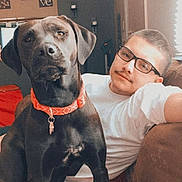 Lil joined the competition — help win amazing prizes! dog, black_dog, collar, person, glasses, couch, indoor, wall_art, pillow, relaxed, brown_furniture, blanket, quilt, window, casual_clothing, home, pet, portrait, seated, living_room