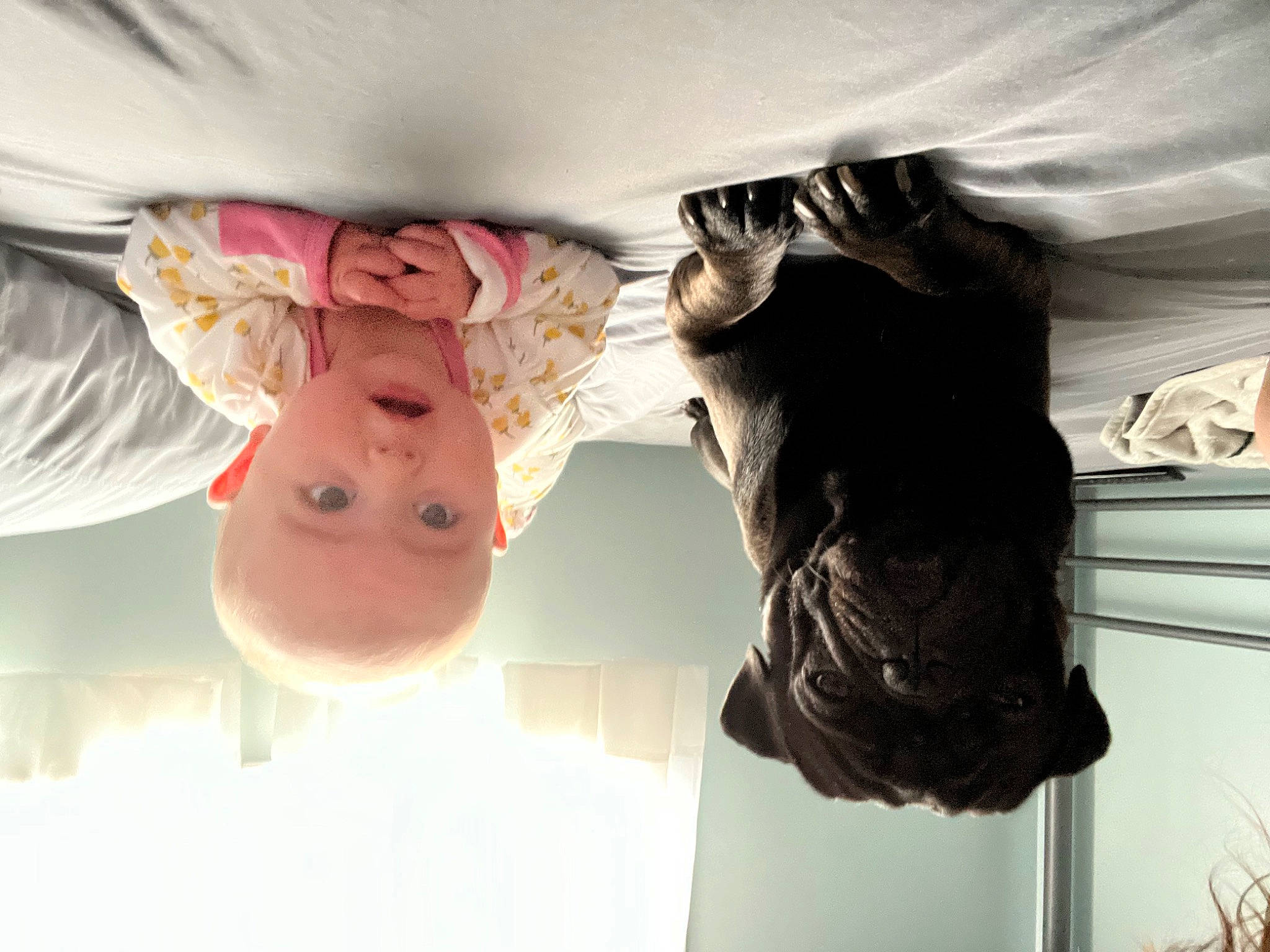 Paisley Grace joined the competition — help win amazing prizes! abdomen, baby, ceiling, comfort, eyelash, fun, gesture, happy, hat, linens, magenta, mammal, person, petal, room, surprise, teddy_bear, textile, tints_and_shades, vertebrate