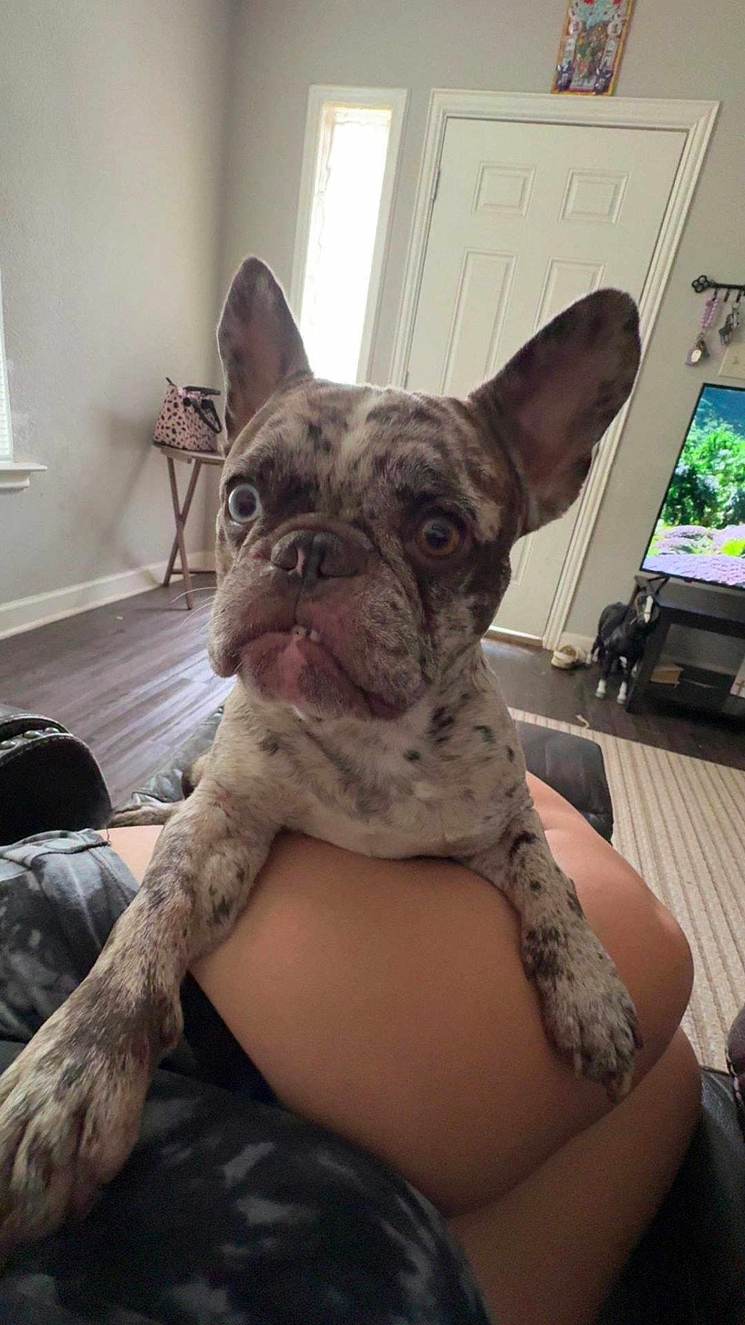 Cash