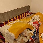 Patate a rejoint le concours — aidez-le/la à gagner de superbes lots ! dog, couch, foam, fabric, torn, messy, indoor, wooden_furniture, floor, pet, playful, animal, destruction, upholstery, chewed, home, room, wall, head, resting