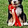 Bertie