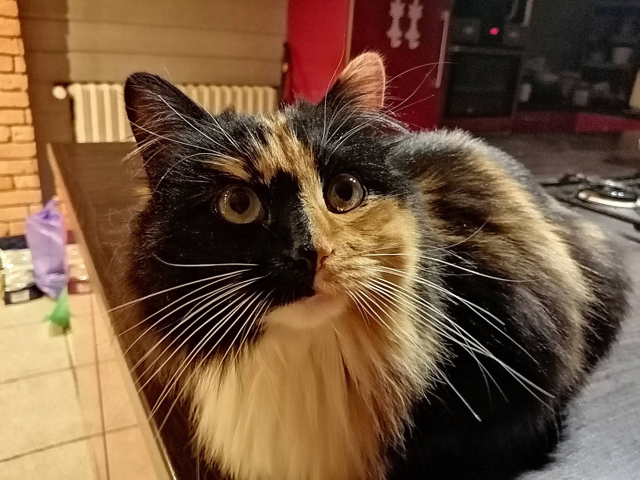 Mirabelle