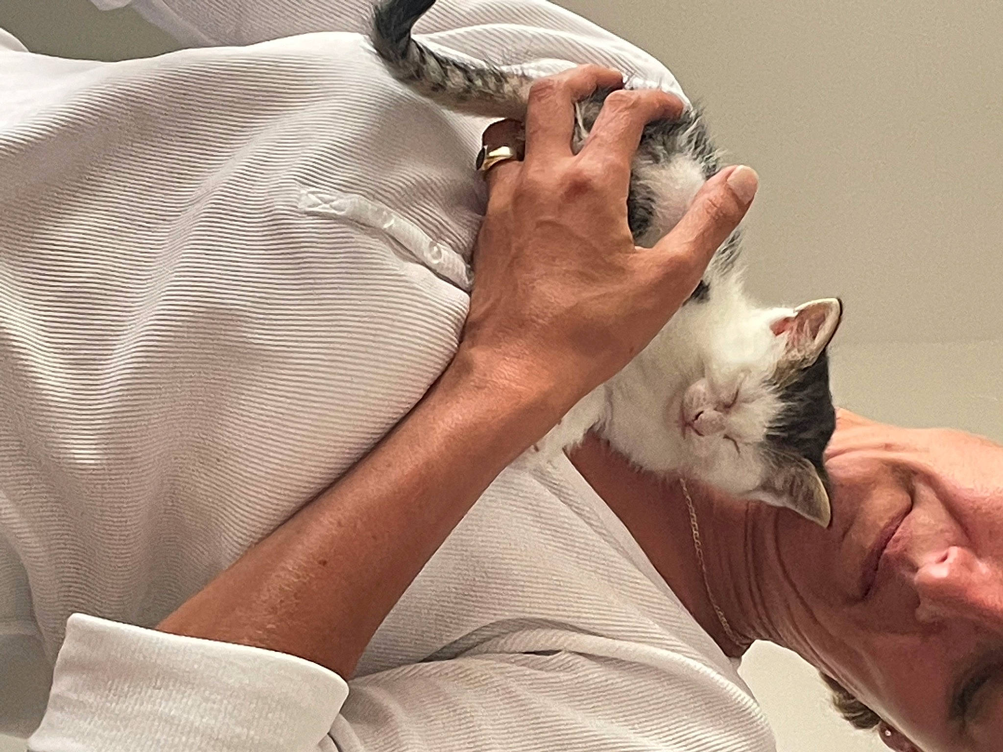 Kyoka a rejoint le concours — aidez-le/la à gagner de superbes lots ! carnivore, cat, comfort, ear, fawn, felidae, foot, fur, gesture, human_leg, lap, leg, mammal, musical_instrument, nail, skin, small_to_medium_sized_cats, whiskers, white, wrist