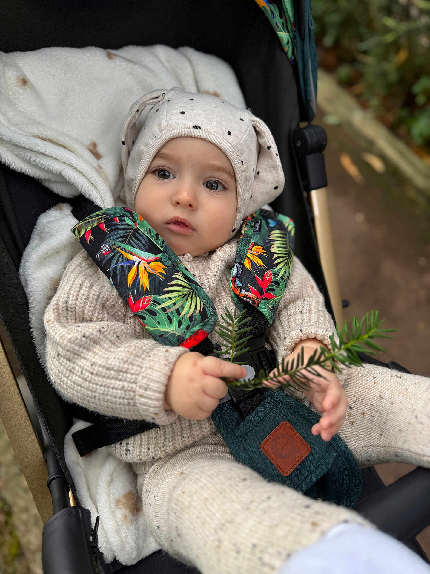 Luka participe au concours pour gagner de l'argent avec cette photo : baby, child, stroller, knitwear, hat, polka_dot, leaf, greenery, outdoor, nature, toddler, seat_belt, cute, infant, warm_clothing, portrait, hand, face, expression, fall