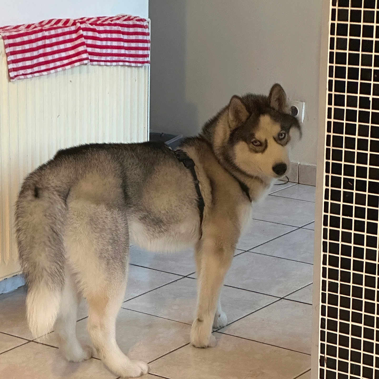 Kaïros