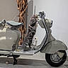 cat, kitten, tabby, fluffy, furry, standing, scooter, vespa, motorcycle, vehicle, vintage, showroom, indoor, decor, branches, handlebars, wheel, metal, tile_floor, shadow