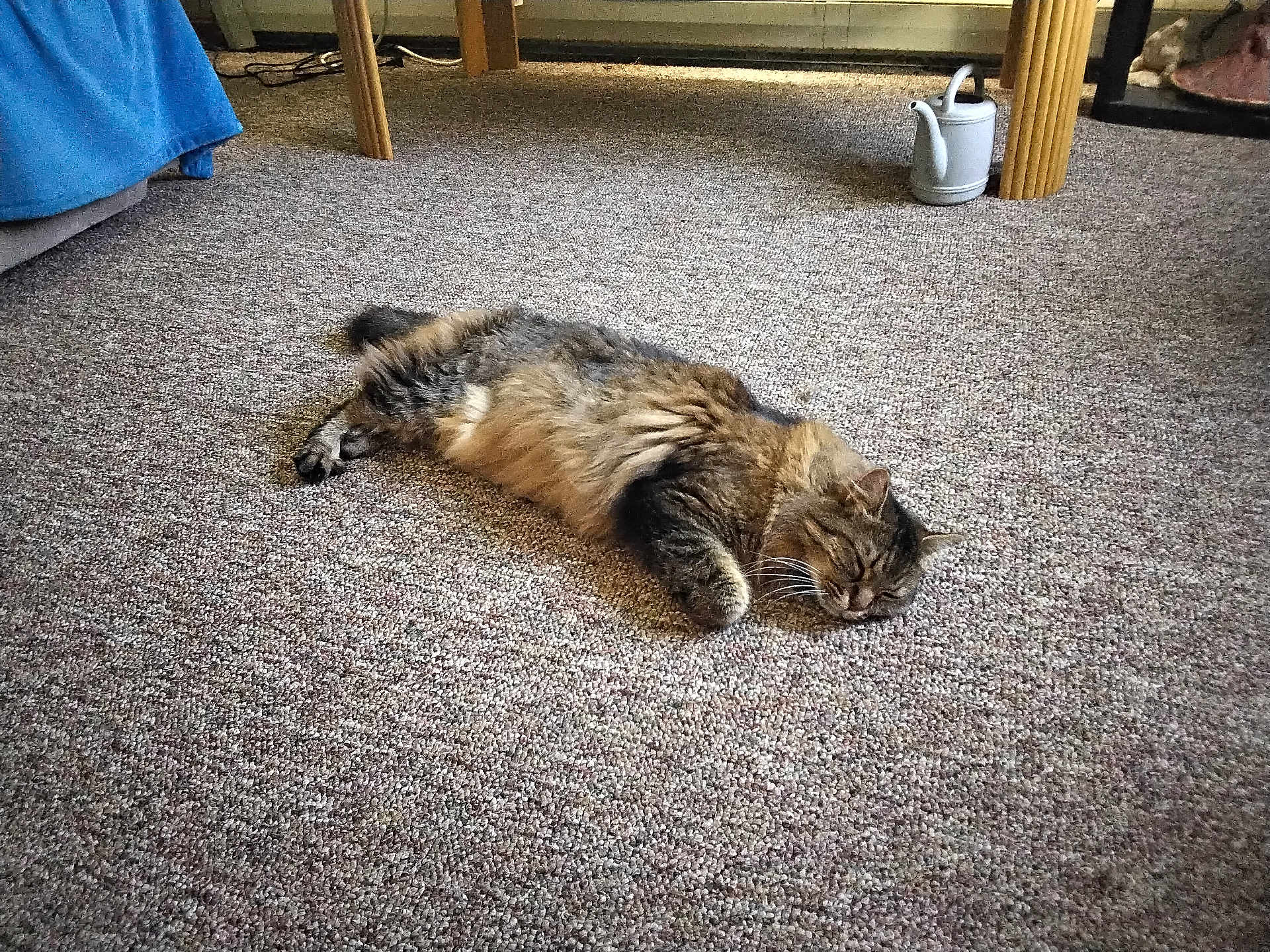 Leo