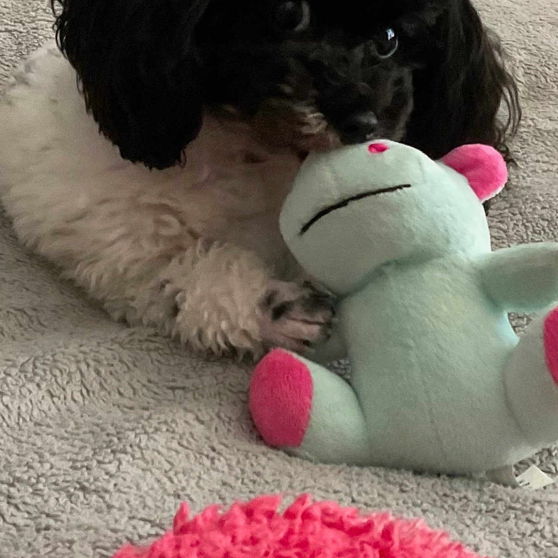Pebbles Kay