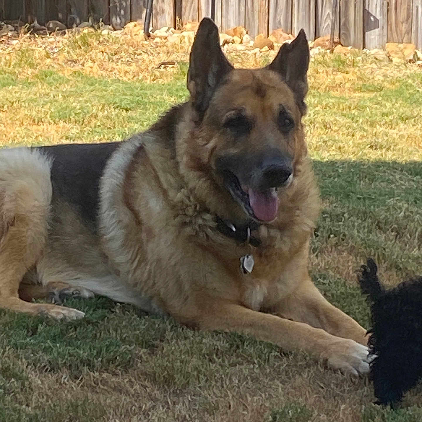 Thor
