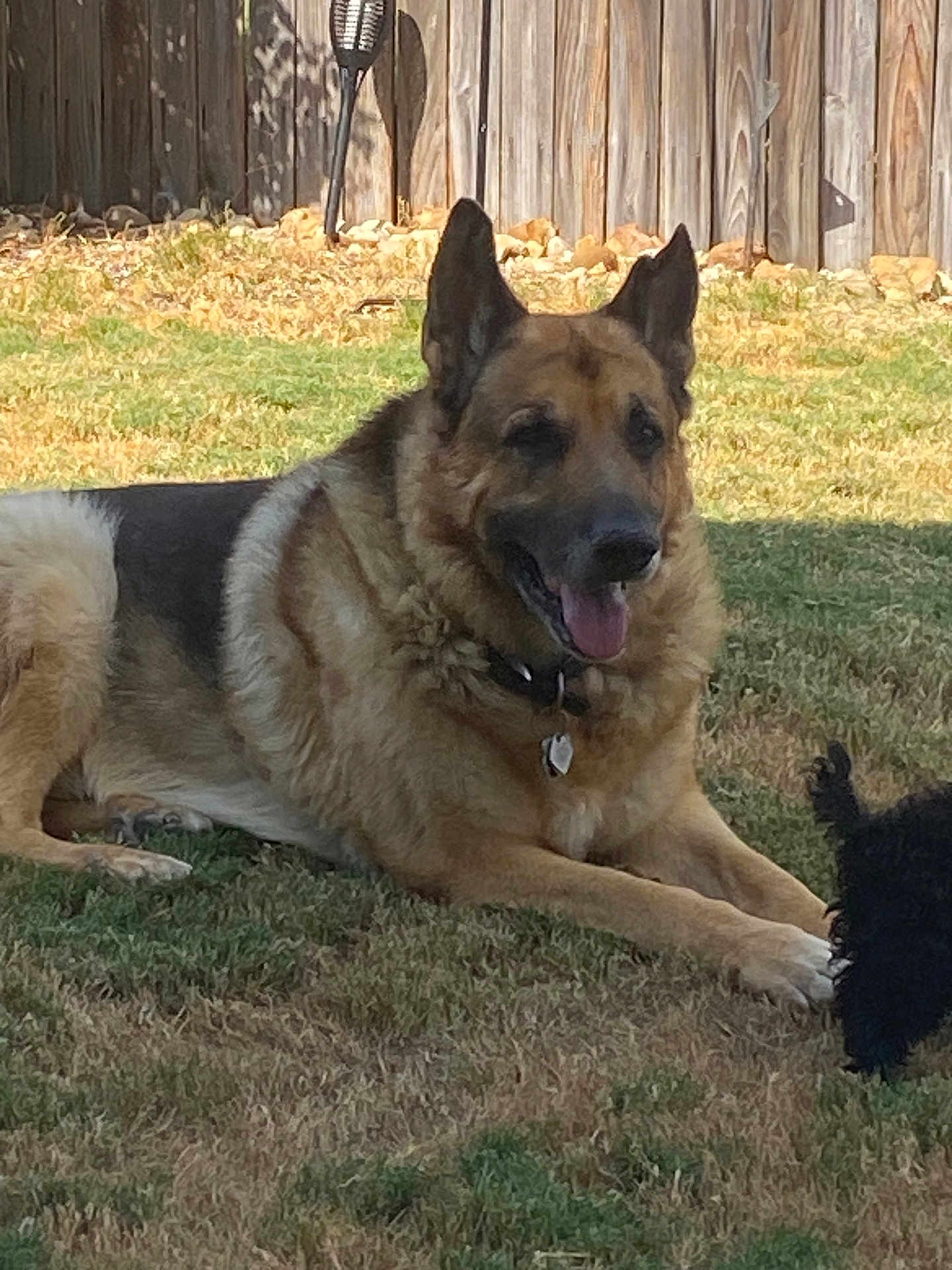 Thor