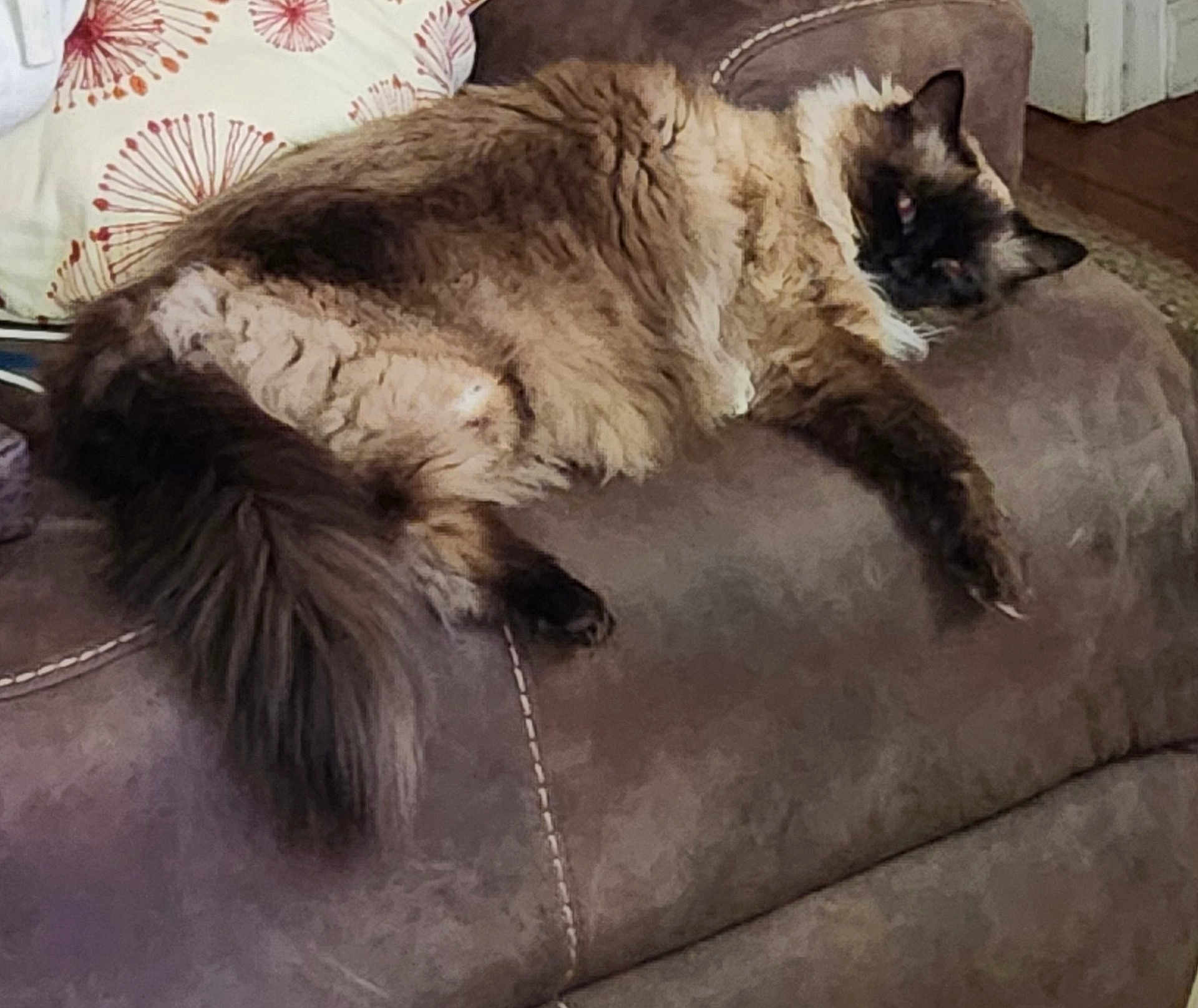 Mila