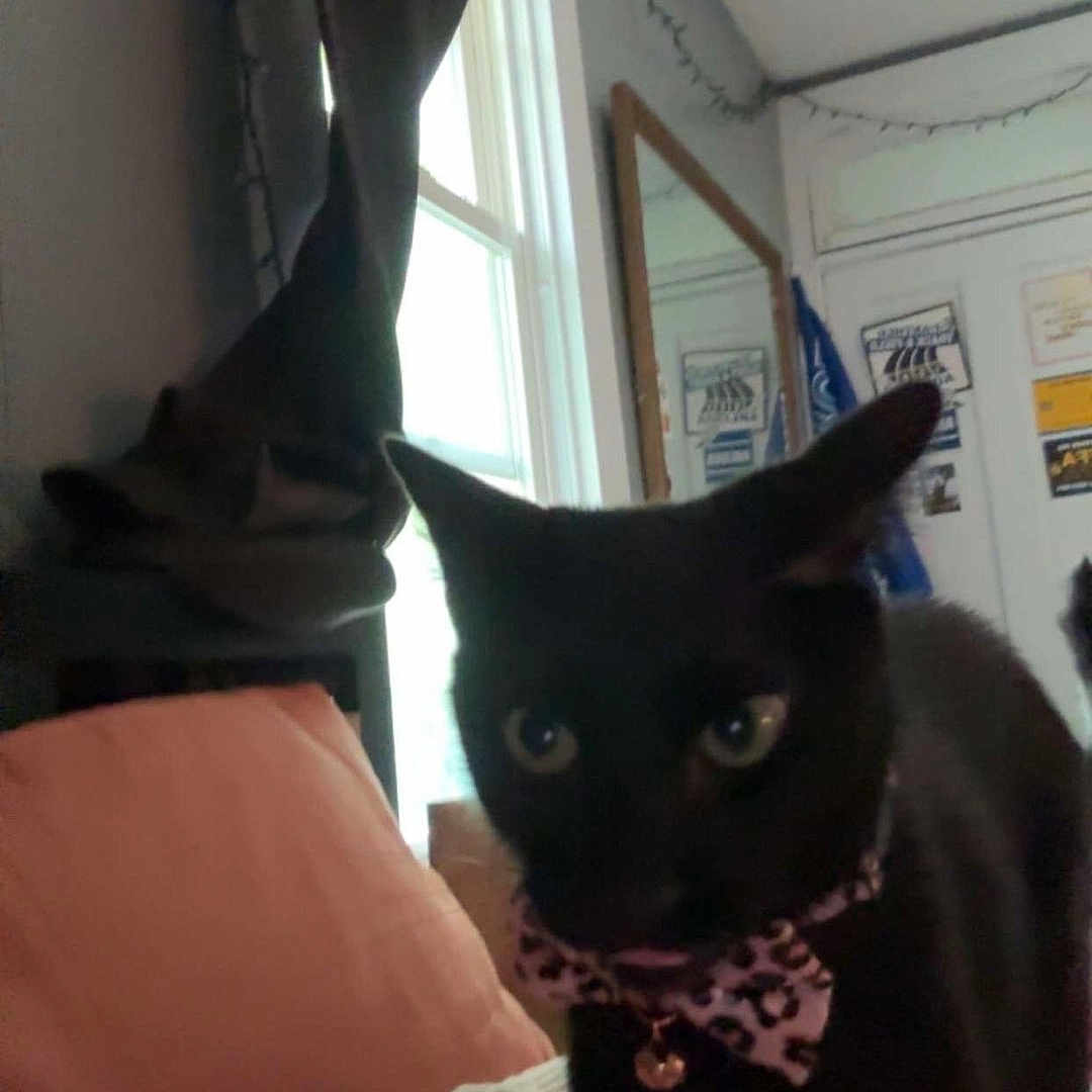 Salem