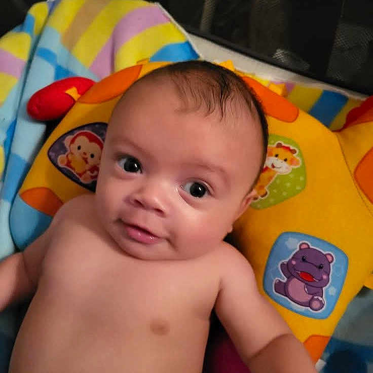 William joined the competition — help win amazing prizes! animal_print, baby, bare_chest, blanket, bright_colors, child, colorful, curious, cute, giraffe, hippopotamus, indoors, infant, lying_down, monkey, playful, portrait, smile, soft_toys, young