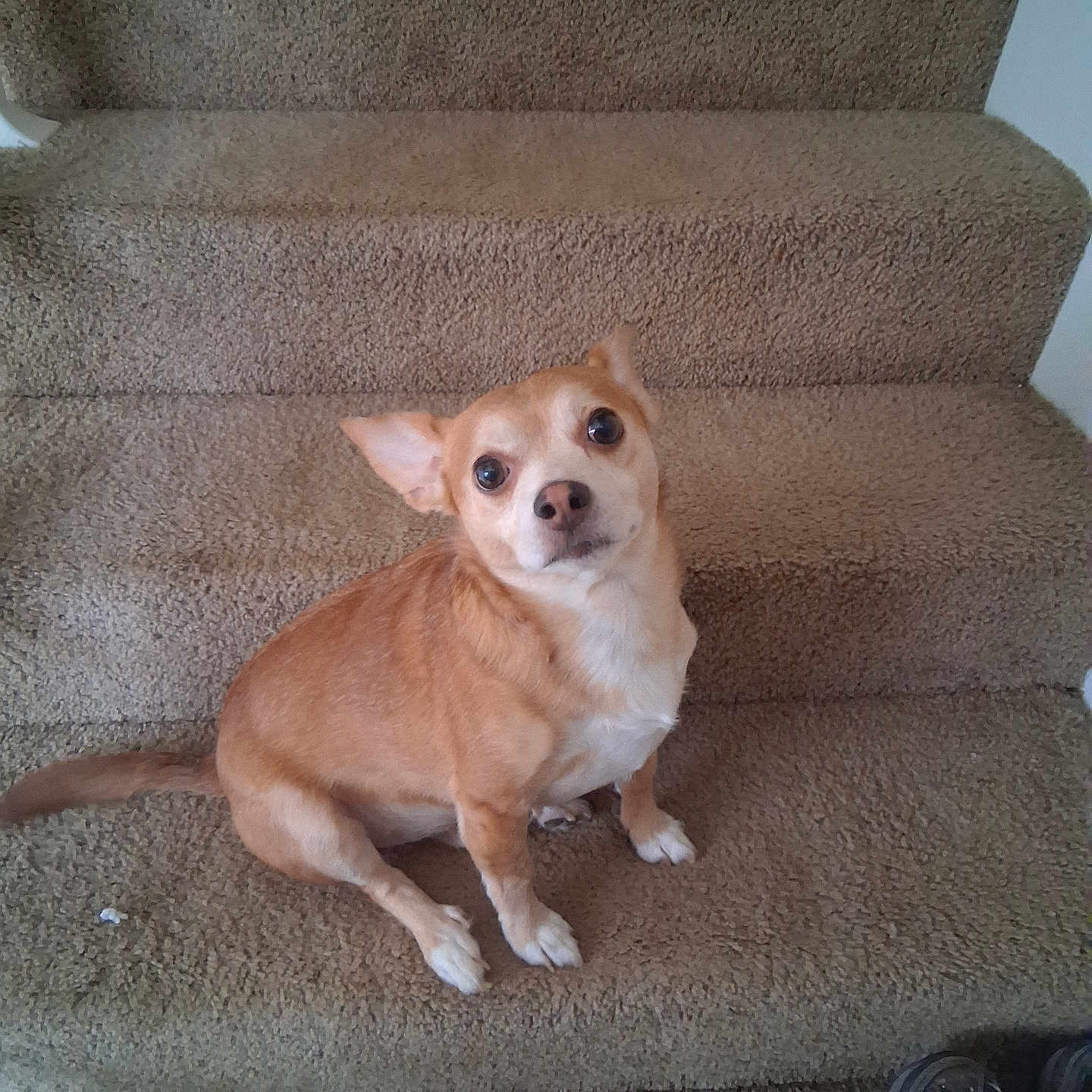 Max