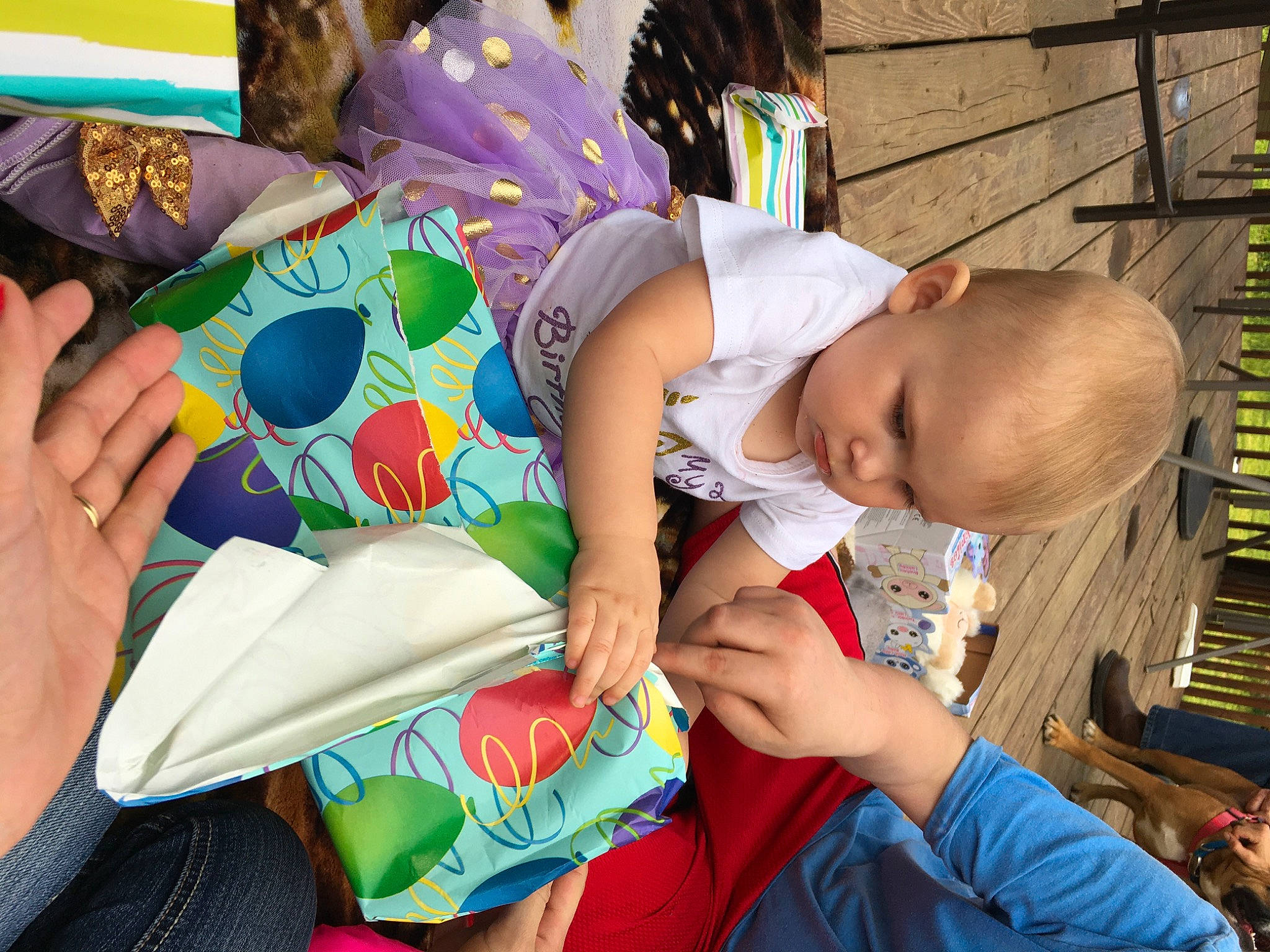 Azalinn is registered to the contest to win money with this photo: adaptation, arm, baby, baby_toddler_clothing, child, community, event, facial_expression, finger, fun, hand, happy, human, leaf, leisure, person, snapshot, summer, t_shirt, thigh