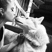 Nanna a rejoint le concours — aidez-le/la à gagner de superbes lots ! woman, dog, kiss, black_and_white, couch, pet, close_up, indoor, affection, face, fur, love, portrait, home, animal, canine, human, friendship, companion, cozy