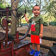 Sebastián is registered to the contest to win money with this photo: bicycle, fun, land_vehicle, mountain_bike, plant, recreation, road_bicycle, soil, sports_equipment, tree, vehicle, woody_plant