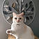 Duchesse