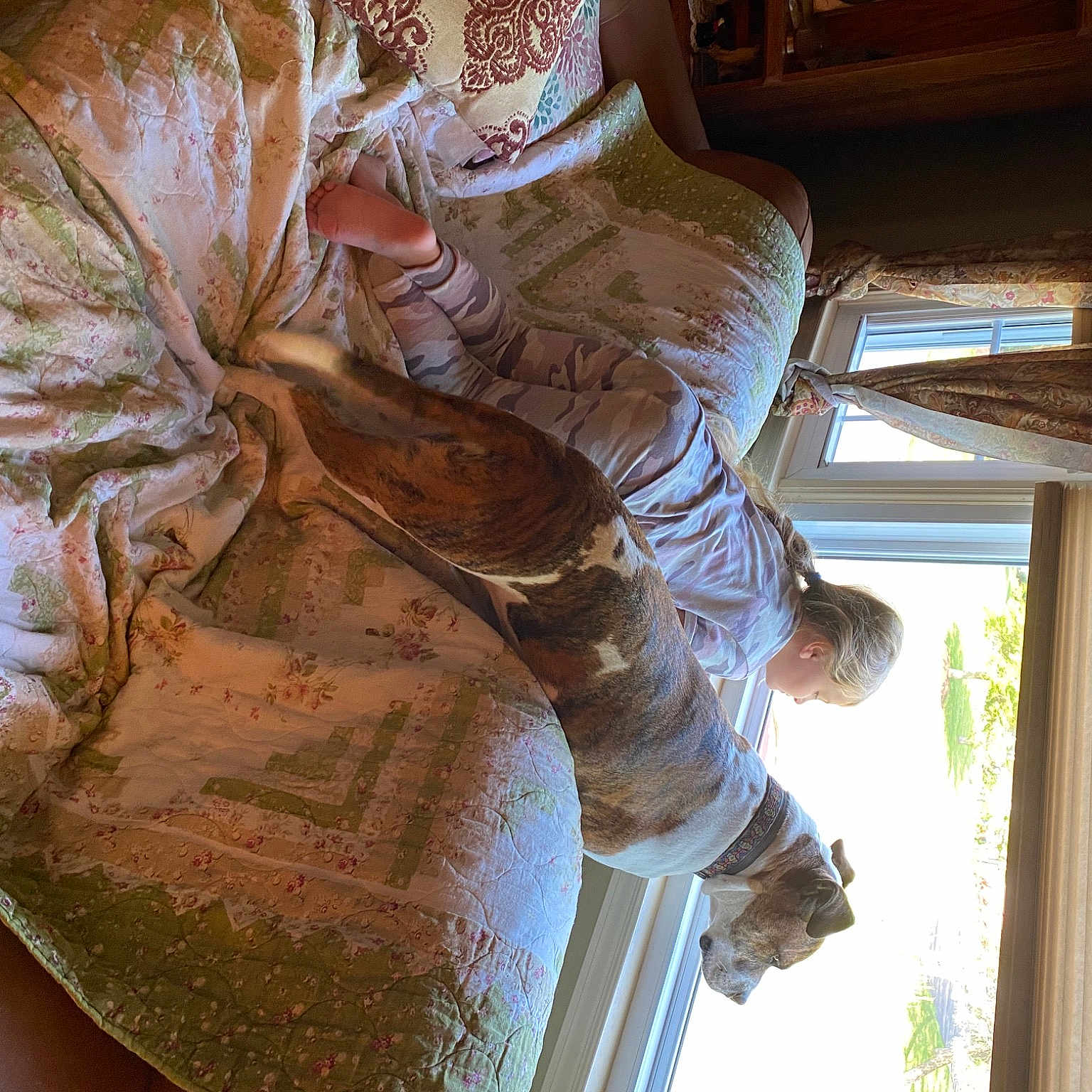 Cleopatra is registered to the contest to win money with this photo: art, carving, ceiling, daylighting, fun, glass, hat, house, pattern, plant, room, sculpture, tree, visual_arts, window, wood