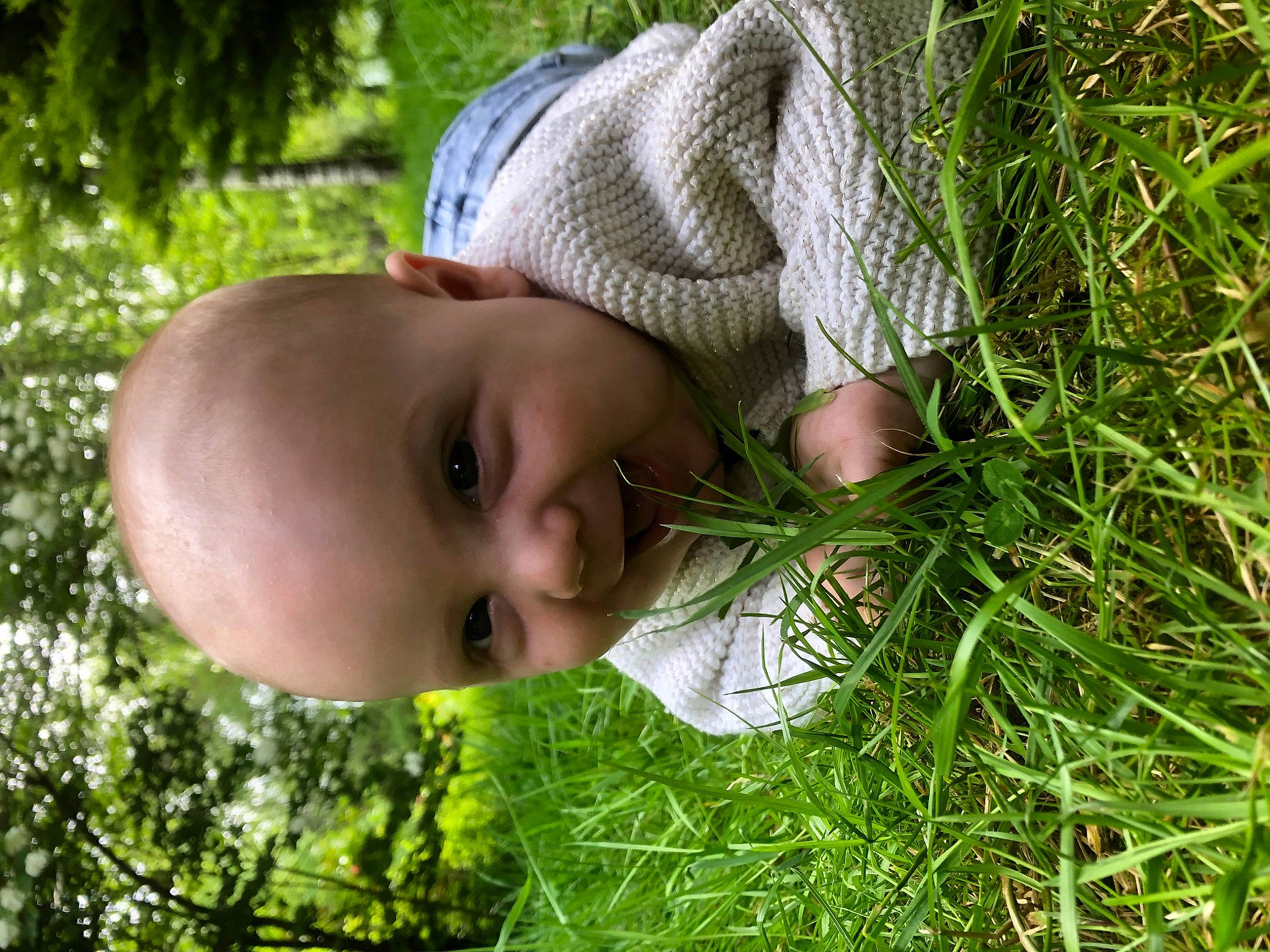 Loen participe au concours pour gagner de l'argent avec cette photo : adaptation, baby, baby_toddler_clothing, botany, face, grass, grass_family, groundcover, happy, hat, leaf, mammal, nose, people_in_nature, person, plant, skin, smile, terrestrial_plant, toddler