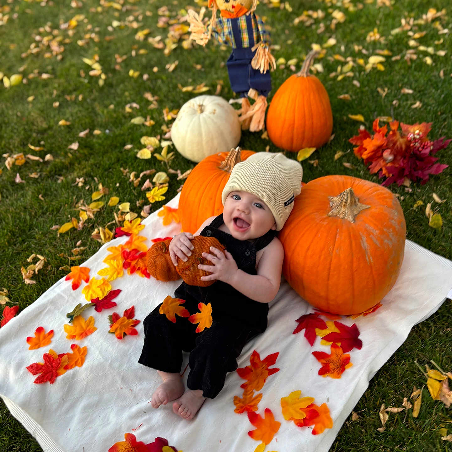 Ezra joined the competition — help win amazing prizes! baby, clothing, costume, face, food, grass, hat, head, leaf, person, photography, plant, portrait, pottedplant, produce, pumpkin, soil, squash, tree, vegetable
