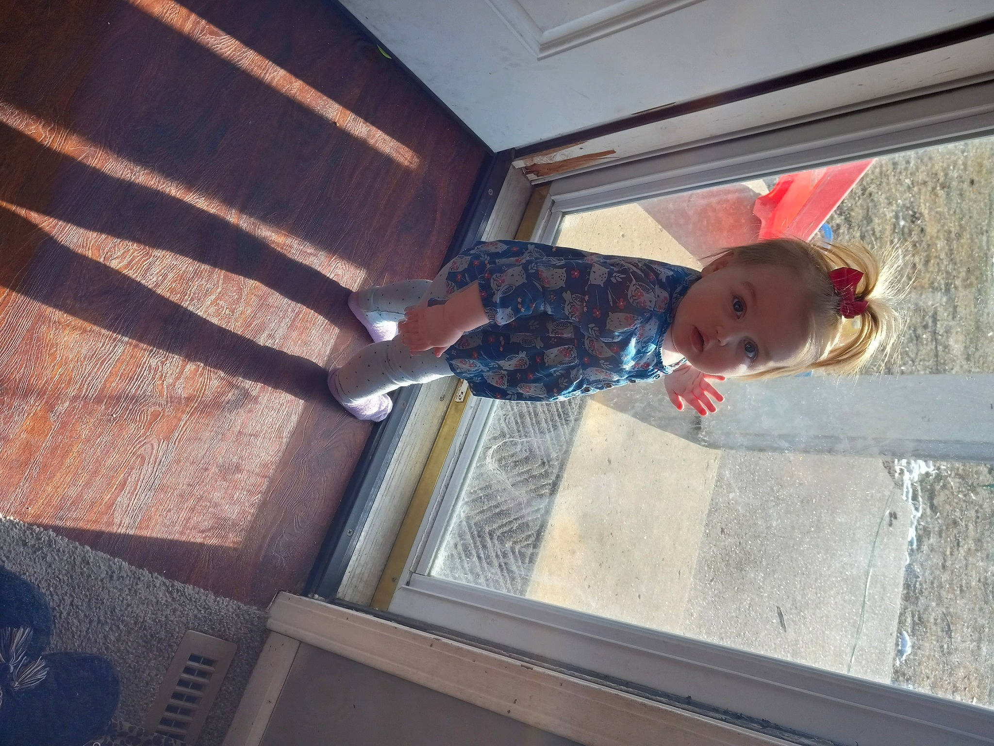 Brynleigh is registered to the contest to win money with this photo: ceiling, child, composite_material, concrete, daylighting, floor, flooring, fun, hardwood, human_leg, person, room, shadow, stairs, standing, tints_and_shades, toddler, window, wood
