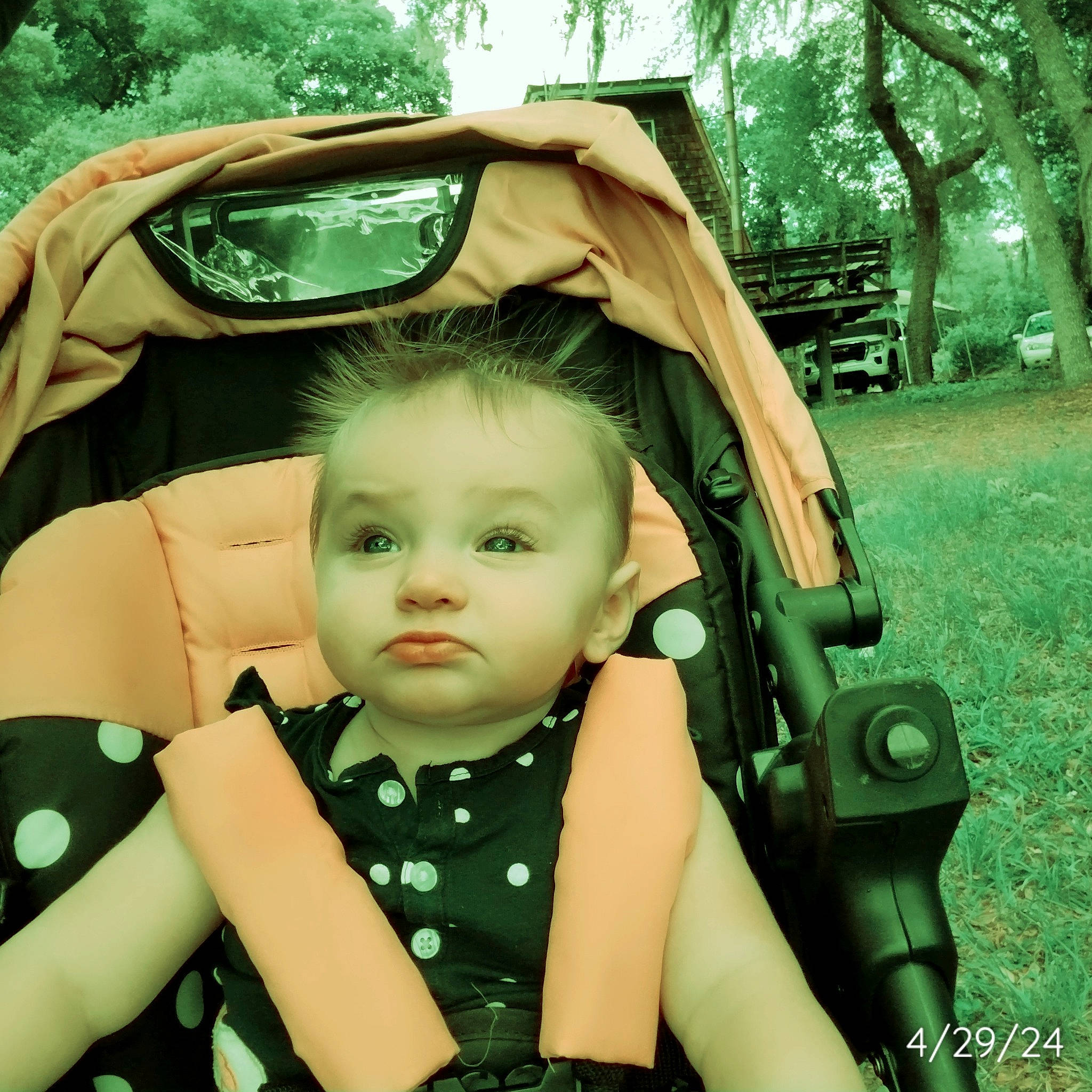 Anna joined the competition — help win amazing prizes! baby, baby_carriage, baby_safety, baby_toddler_clothing, child, cool, eye, face, fun, grass, green, happy, people, people_in_nature, person, photograph, plant, snapshot, tints_and_shades, toddler