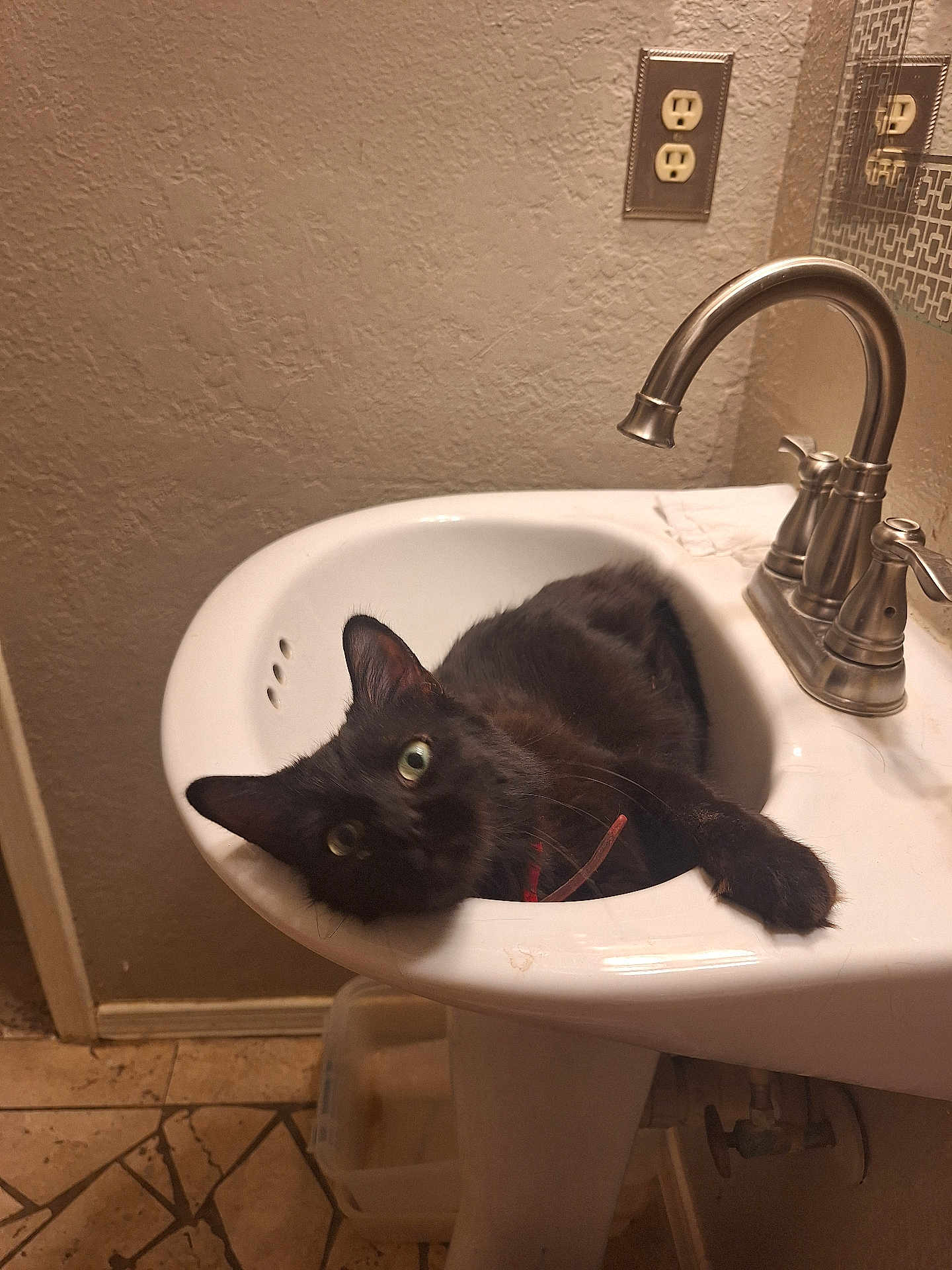 Nala