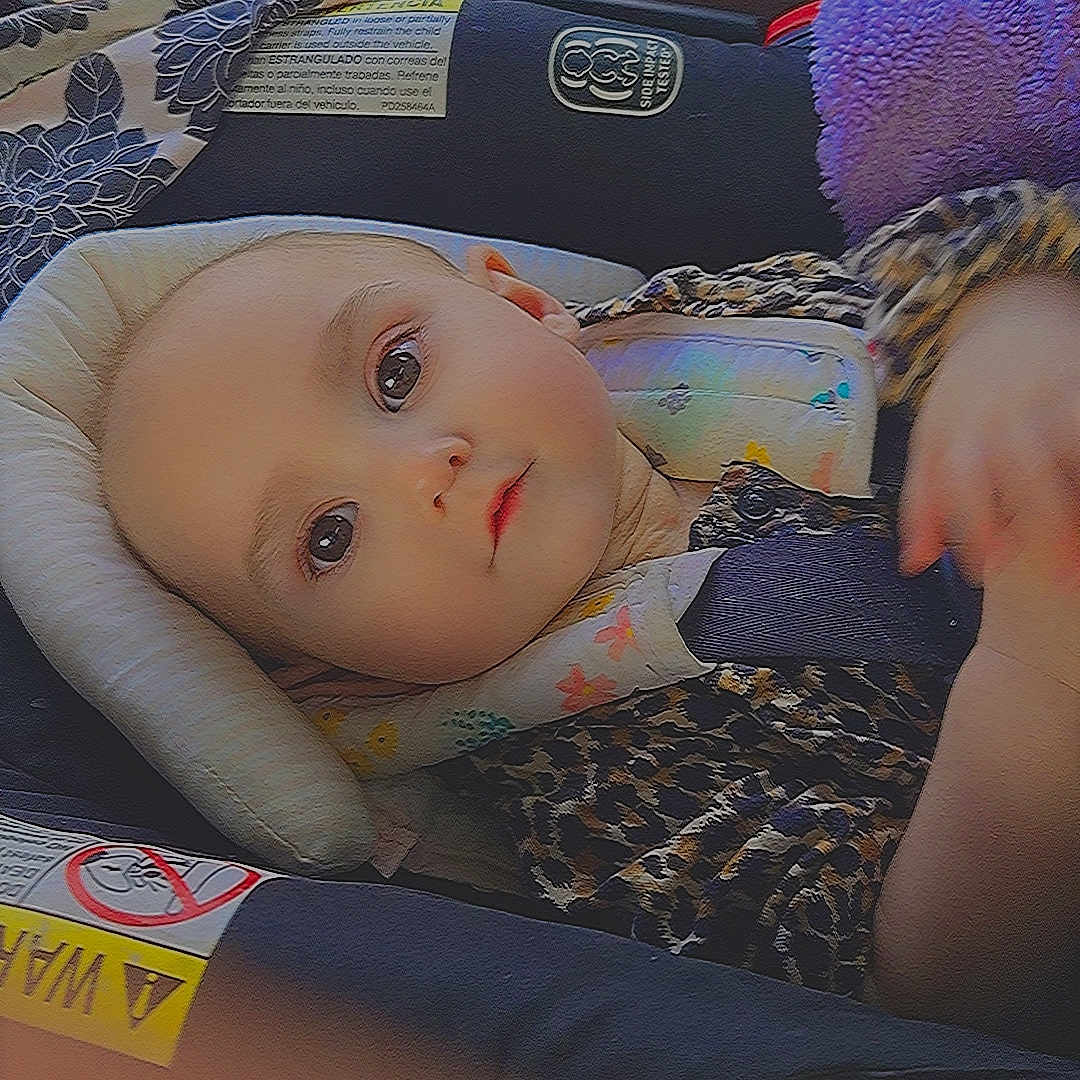Daisy joined the competition — help win amazing prizes! baby, child, car_seat, leopard_print, cushion, blanket, indoors, seat_belt, infant, portrait, clothing, person, cute, car, sitting, headrest, seat, soft_toy, young_child, looking