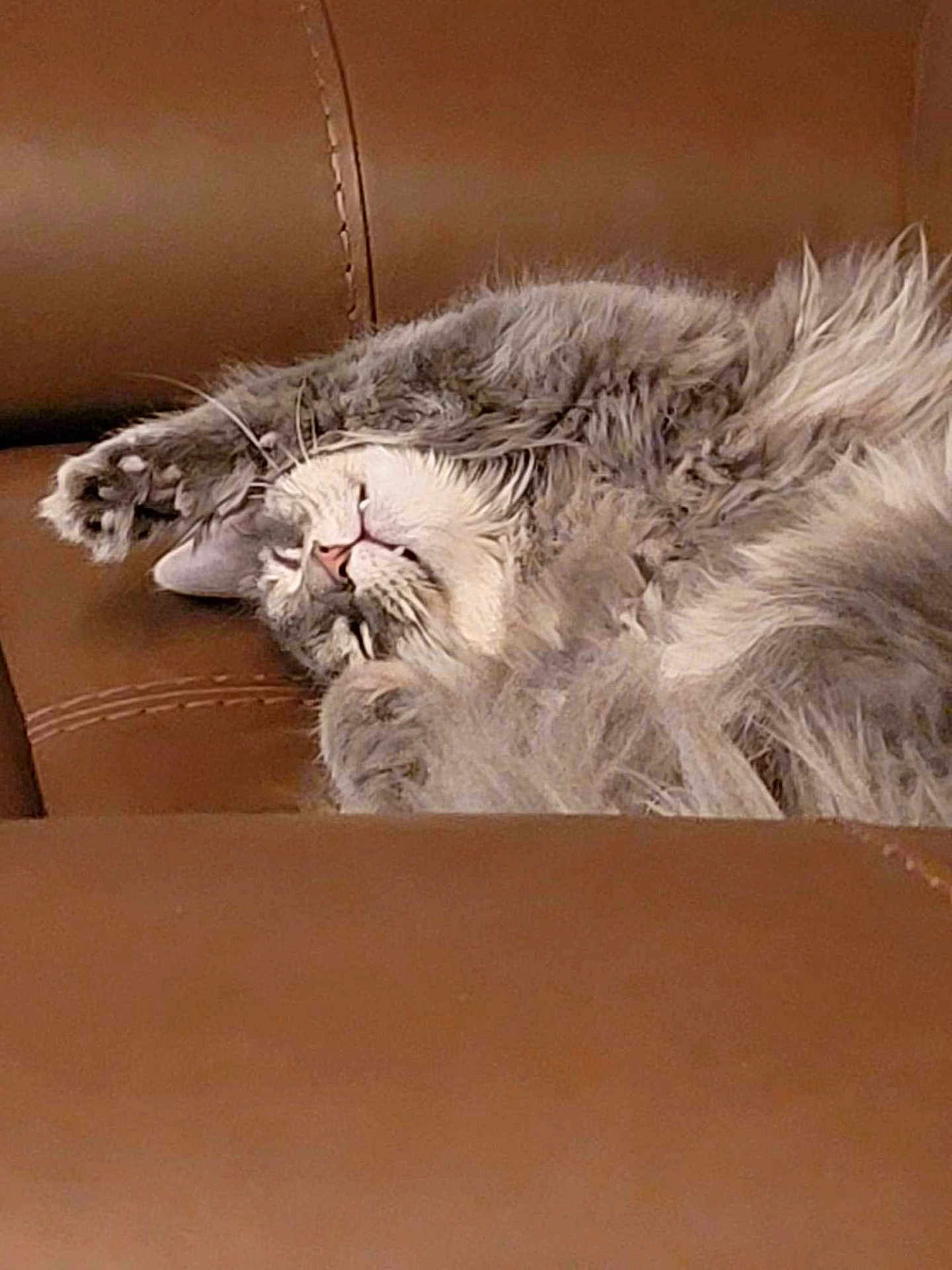 Oliver Puddington
