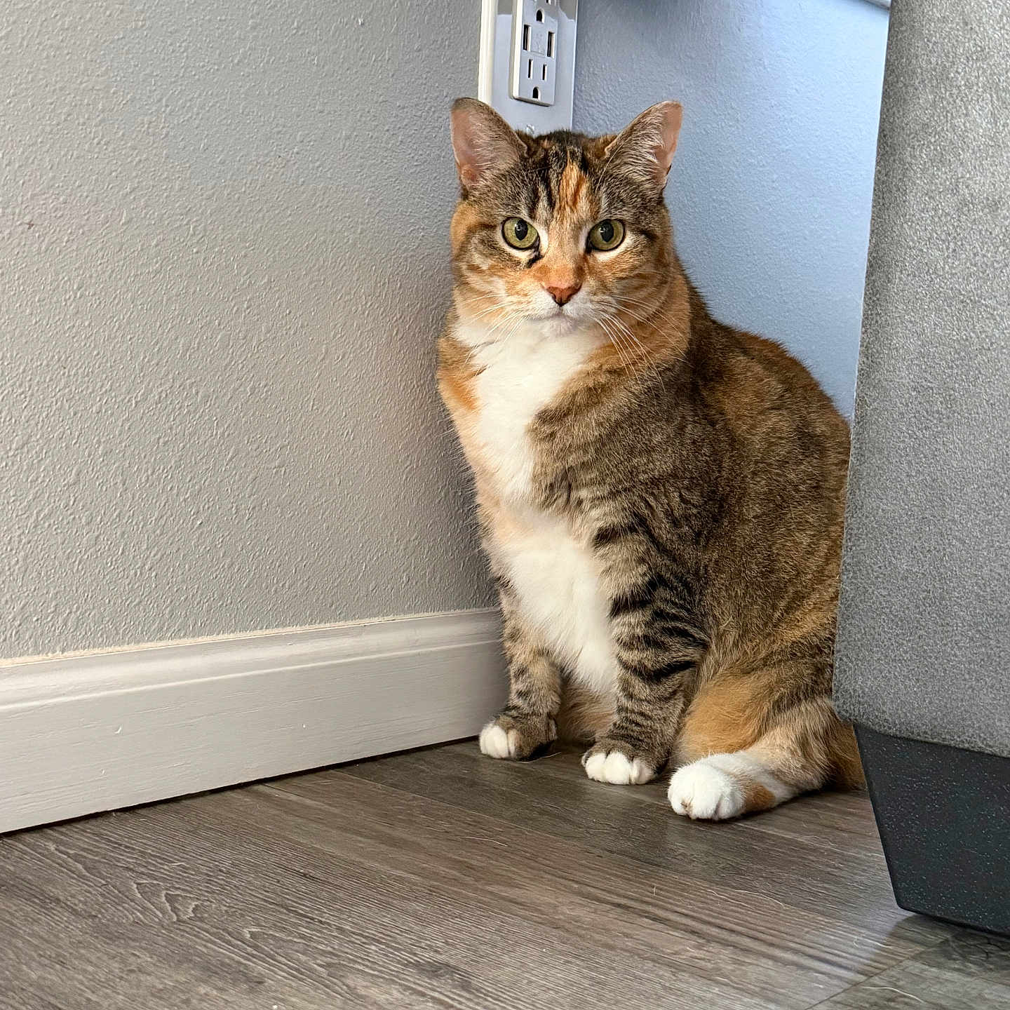 Kiki