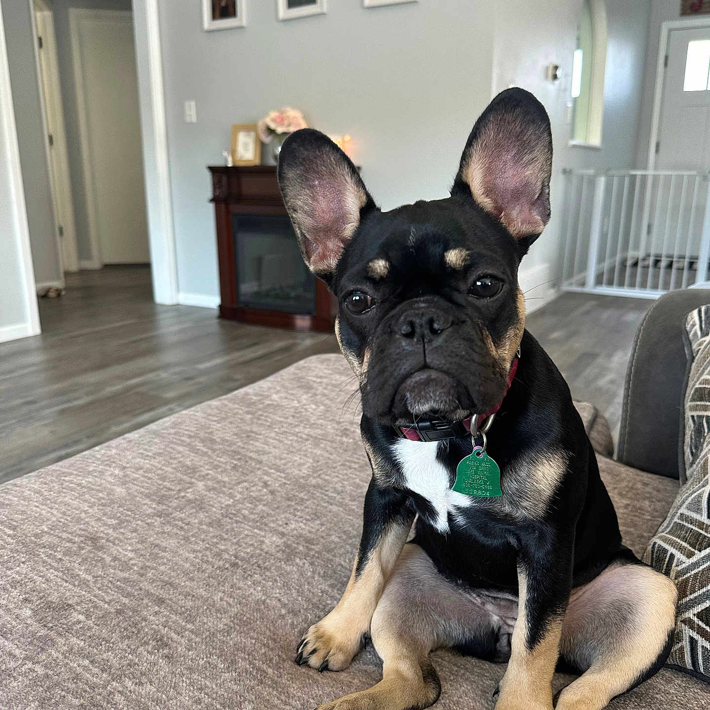 Winnie