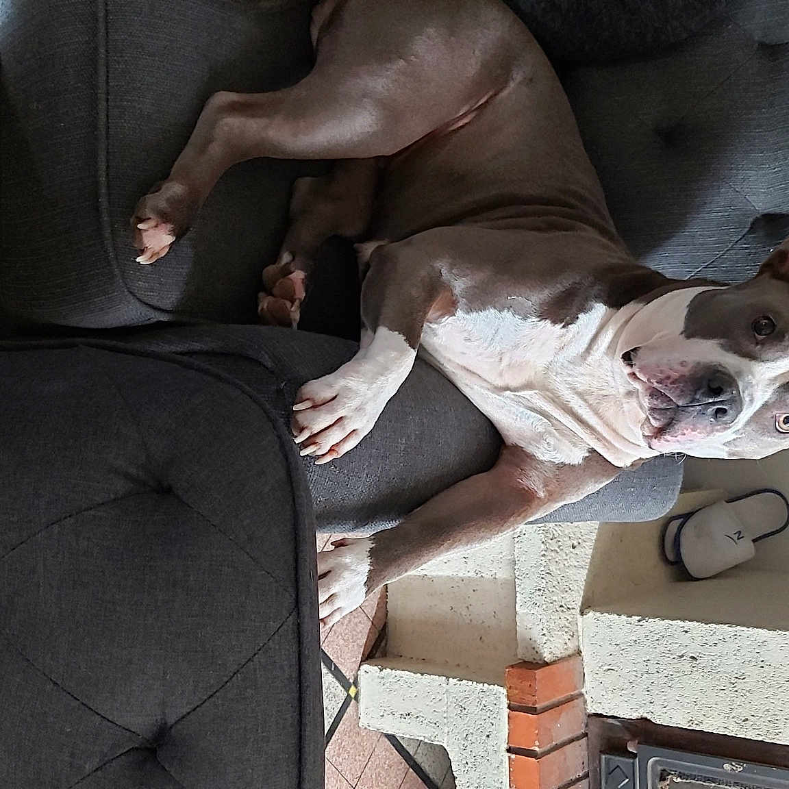Kyo
