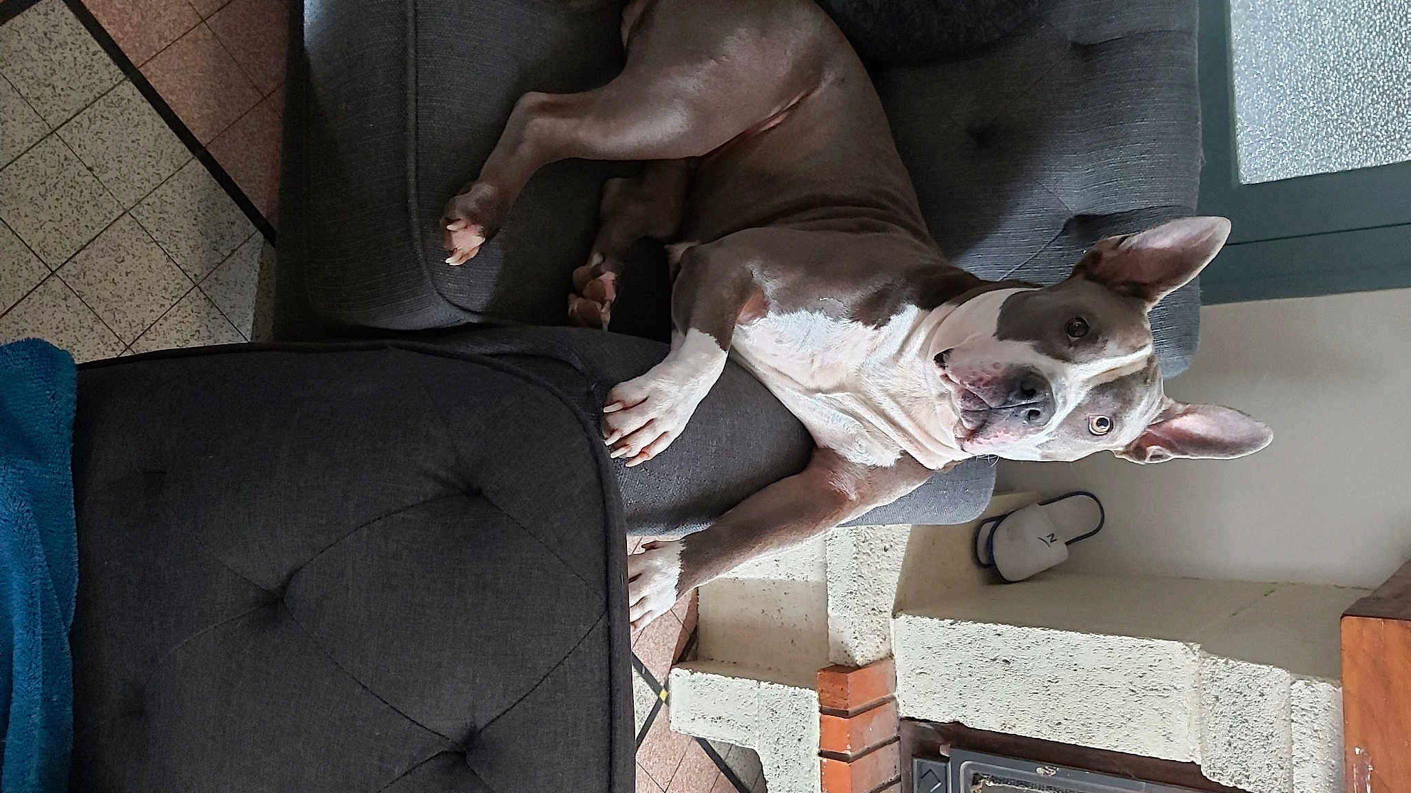 Kyo