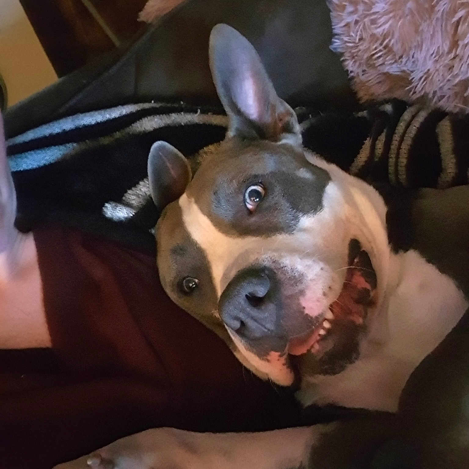 Kyo