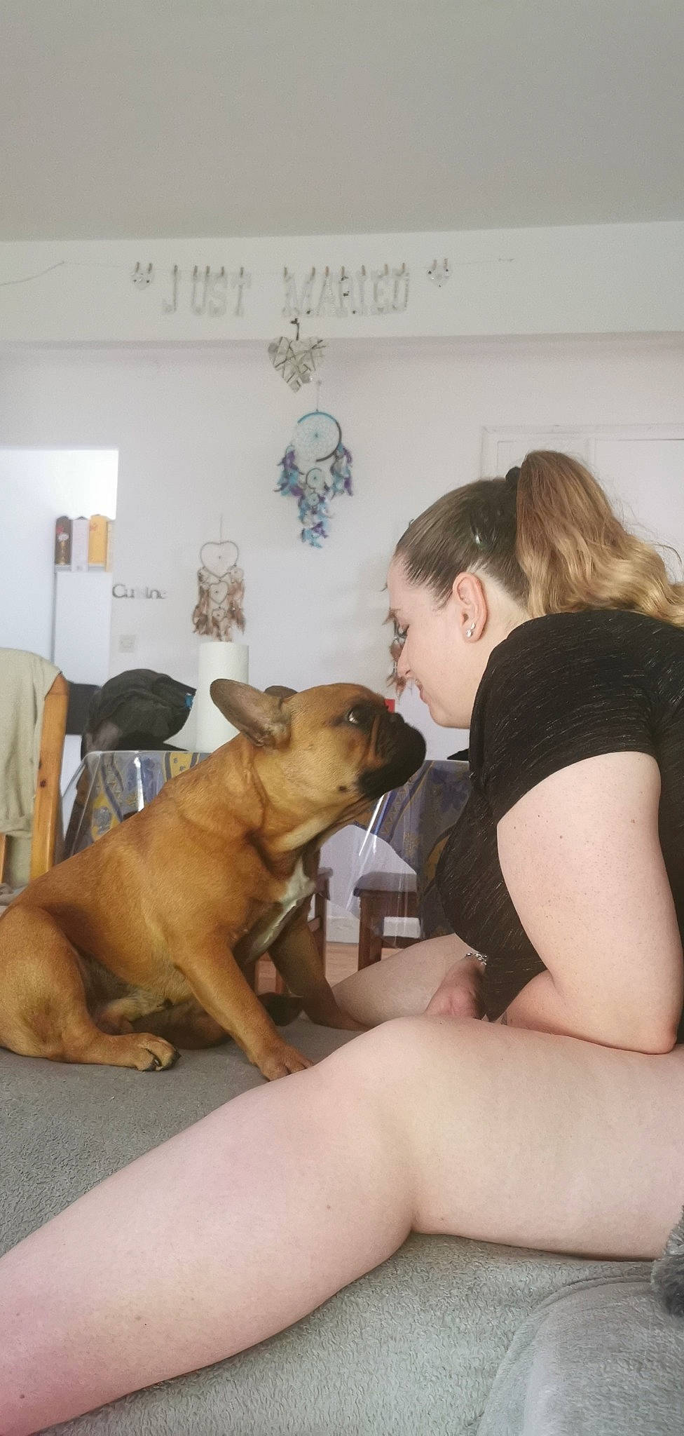 Pumba a rejoint le concours — aidez-le/la à gagner de superbes lots ! boerboel, canidae, carnivore, companion_dog, dog, dog_breed, fawn, puppy_love