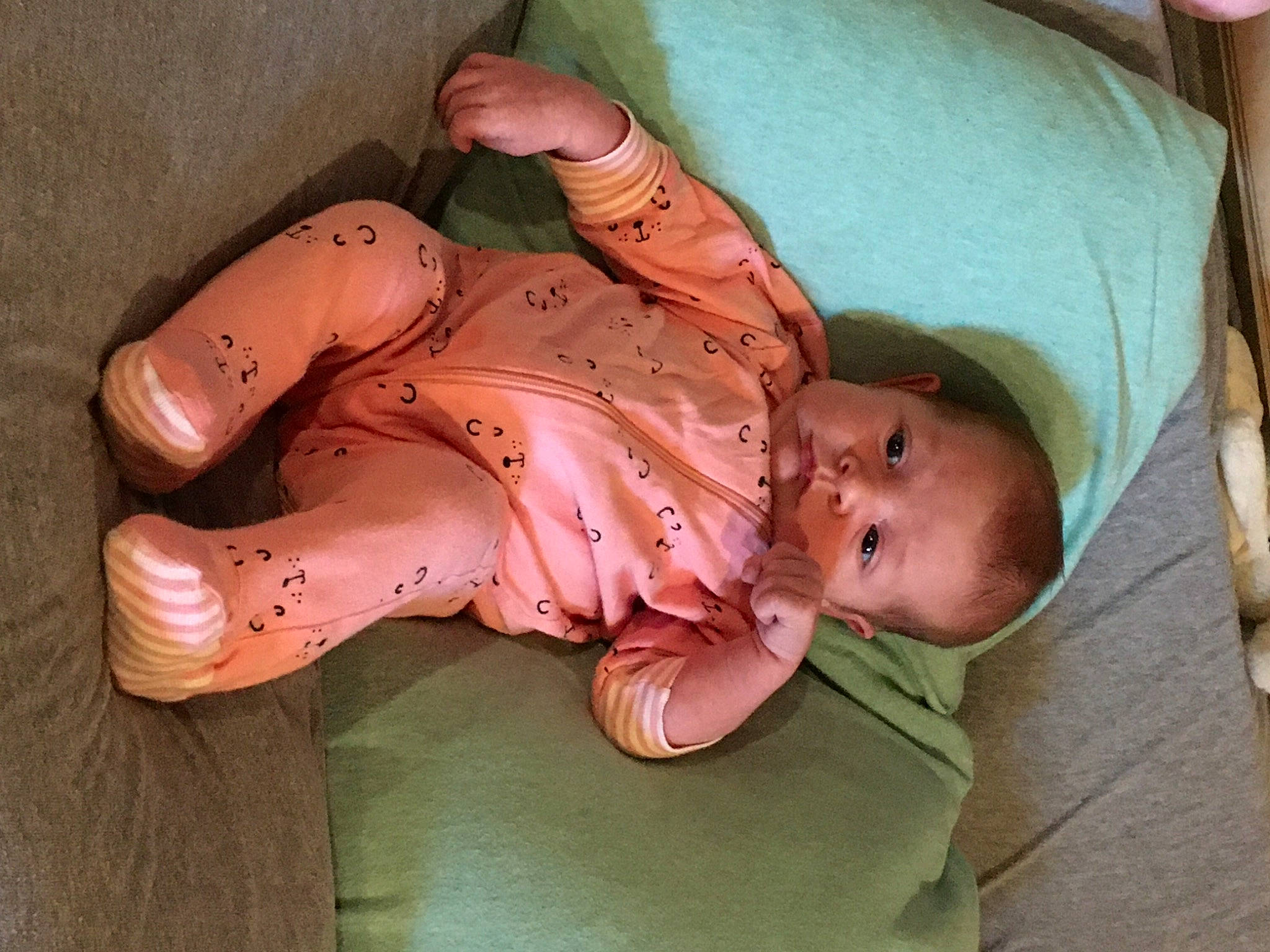 Chloe is registered to the contest to win money with this photo: abdomen, baby, baby_products, baby_toddler_clothing, cheek, child, comfort, elbow, flesh, foot, joint, nose, peach, person, pink, skin, stomach, throat, trunk