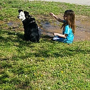 Gus is registered to the contest to win money with this photo: animal, casual_clothing, child, daytime, dog, friendship, grass, leash, mud, nature, outdoor, pet, playful, puddle, relaxing, shadow, sitting, stick, sunlight, young_girl