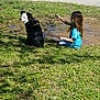animal, casual_clothing, child, daytime, dog, friendship, grass, leash, mud, nature, outdoor, pet, playful, puddle, relaxing, shadow, sitting, stick, sunlight, young_girl