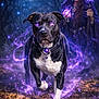 animal, black_and_white, cloak, dog, fantasy, fantasy_art, forest, glowing, glowing_eyes, leaves, magic_orb, moon, mystical, night, purple_light, purple_magic, sorceress, staff, supernatural, walking